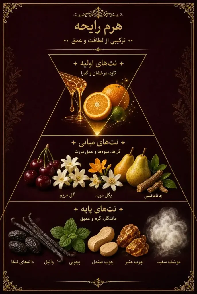هرم بویایی