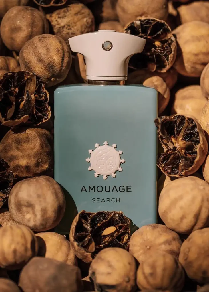 رایحه Amouage Search