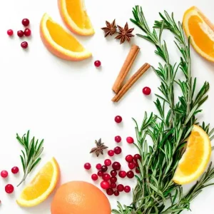 نت اولیه